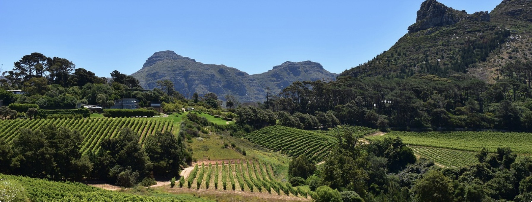 Cape Town Winelands